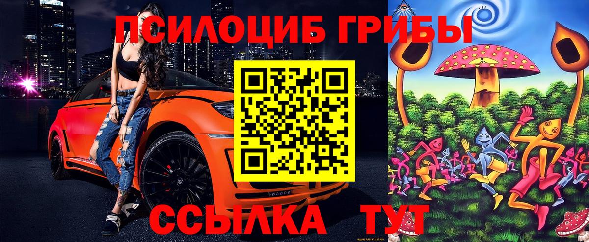 Галлюциногенные грибы MAGIC MUSHROOMS Димитровград