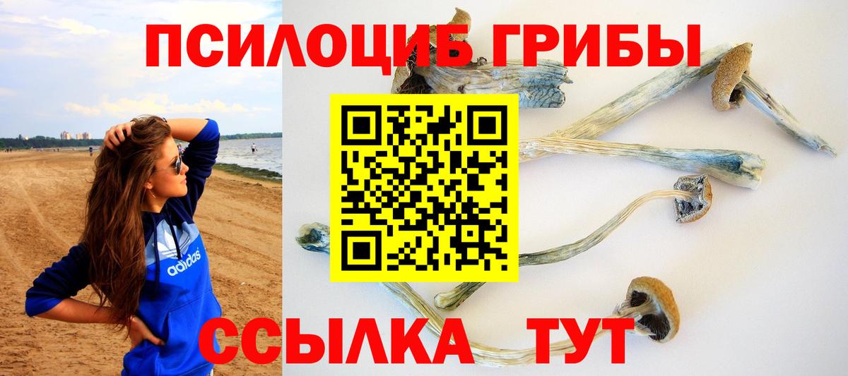 Димитровград  Галлюциногенные грибы прущие грибы  Вход с VPN  Галлюциногенные грибы MAGIC MUSHROOMS 